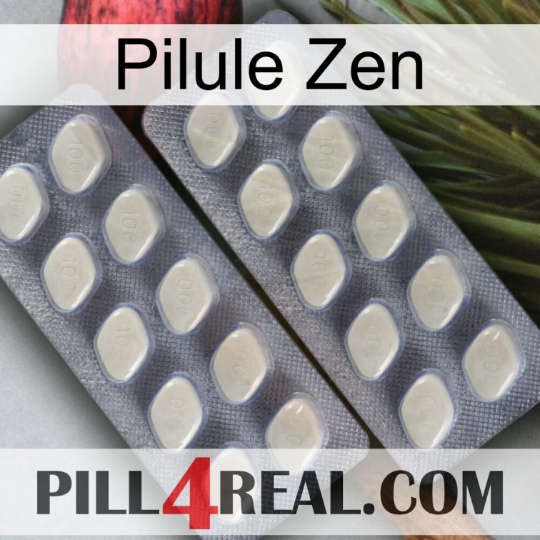 Zen Pill 07